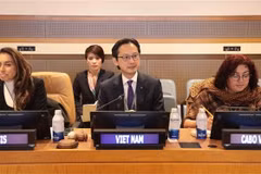 El embajador Do Hung Viet preside el seminario (Fuente: VNA) 