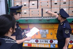 La aduana de la provincia de Lao Cai inspecciona mercancías importadas en el puesto fronterizo de la carretera internacional Kim Thanh. (Fuente: VNA) 