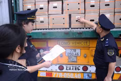 La aduana de la provincia de Lao Cai inspecciona mercancías importadas en el puesto fronterizo de la carretera internacional Kim Thanh. (Fuente: VNA) 