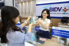 Varios bancos impulsan el crédito verde para impulsar el crecimiento sostenible en Vietnam. (Foto: Vietnam+) 