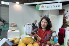 Presentación de productos agrícolas vietnamitas en la Feria de Macfrut en la Ciudad de Rimini, de la región Emilia-Romagna. (Fuente: VNA)