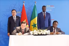 Vietnam y Senegal firman un memorando sobre el comercio de arroz, en presencia del presidente de la Asamblea Nacional de Vietnam, Tran Thanh Man, y el primer ministro de Senegal, Ousmane Sonko. (Fuente: VNA)