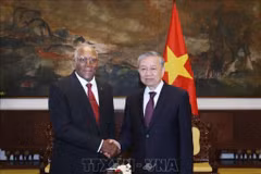 Líder partidista vietnamita recibe a vicepresidente de Cuba