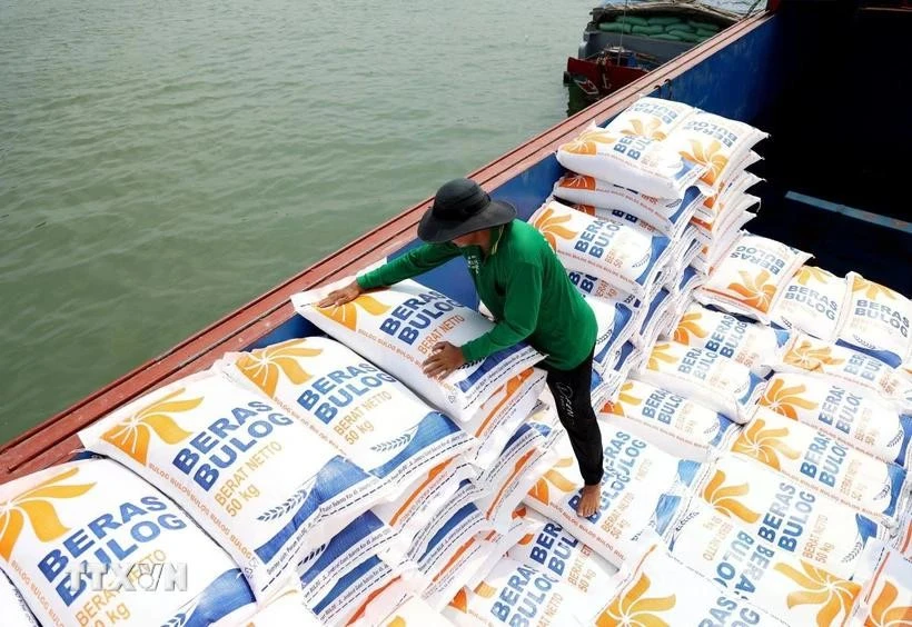 Carga de arroz para la exportación en la provincia de An Giang. (Foto: VNA)