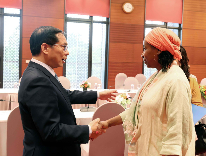 l viceprimer ministro y canciller de Vietnam, Bui Thanh Son, recibe a la subdirectora general de la Organización de las Naciones Unidas para el Desarrollo Industrial (ONUDI), Fatou Haidara. (Foto: VNA)
