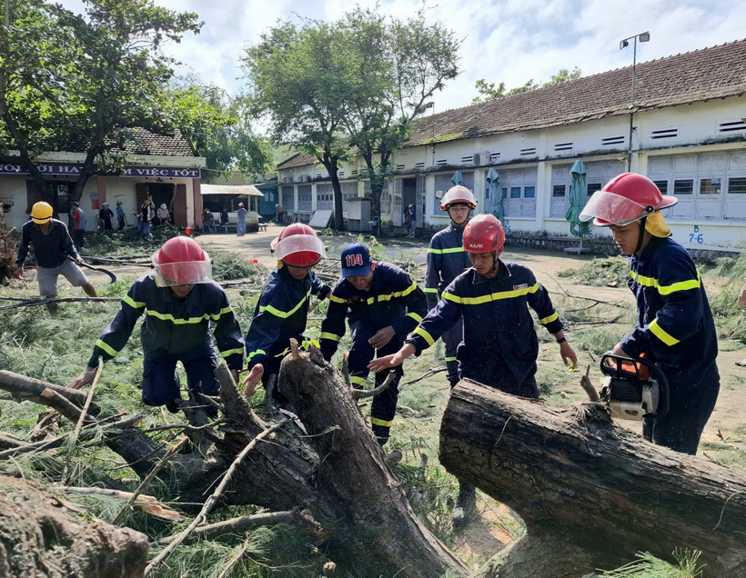 Retiran árbol caído en un escuela secundaria en la provincia de Dak Lak, (Foto: VNA)