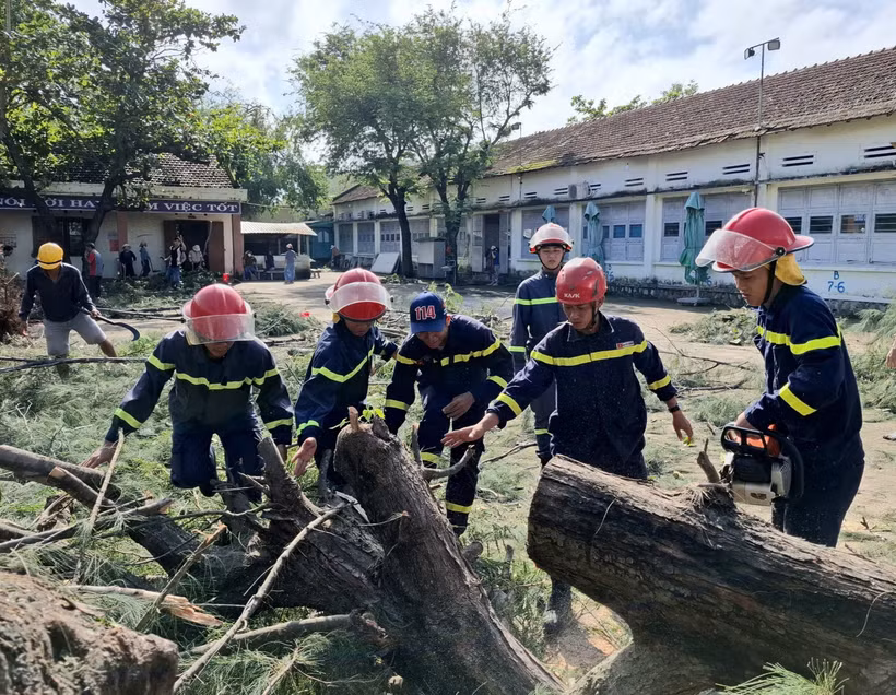 Retiran árbol caído en un escuela secundaria en la provincia de Dak Lak, (Foto: VNA)