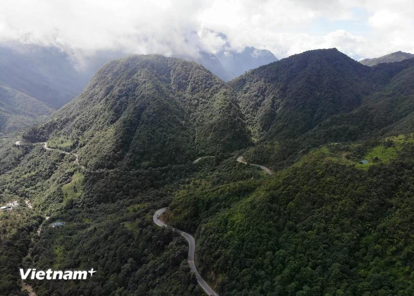 Foto de ilustración. (Foto: Vietnam+)