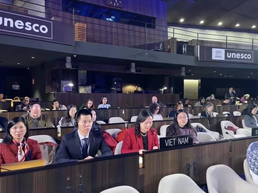 Representantes de Vietnam en la reunión. (Foto: VNA)