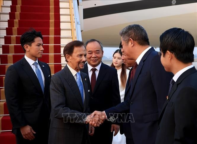 El Sultán de Brunéi Darussalam, Haji Hassanal Bolkiah, llega a Hanoi. (Foto: VNA)