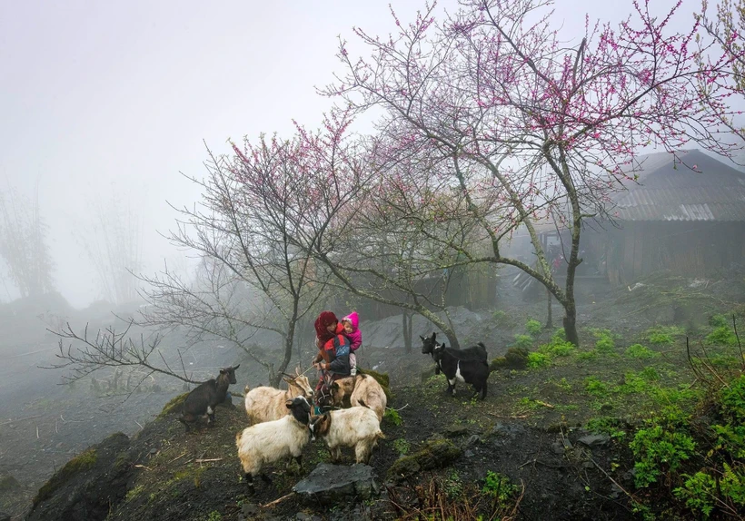 La belleza natural y la vida de la gente de Ha Giang tienen un atractivo especial. (Foto: Vietnam+)