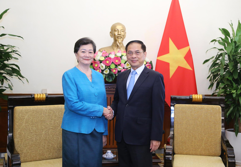 El viceprimer ministro y canciller de Vietnam, Bui Thanh Son, recibe a Chea Kimtha, embajadora de Camboya en el país. (Foto: VNA)