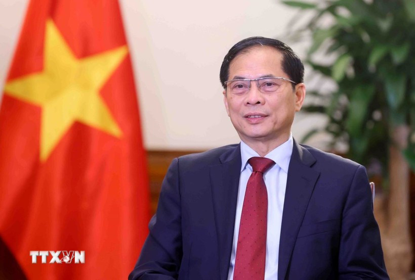 El viceprimer ministro y canciller Bui Thanh Son. (Foto: VNA)