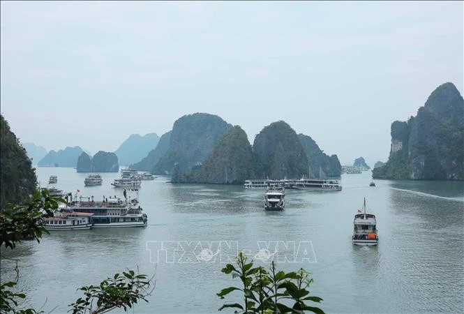 La había de Ha Long. (Foto: VNA)