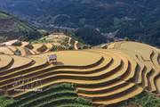 Arrozales en terrazas de la región montañosa de Mu Cang Chai en Lao Cai