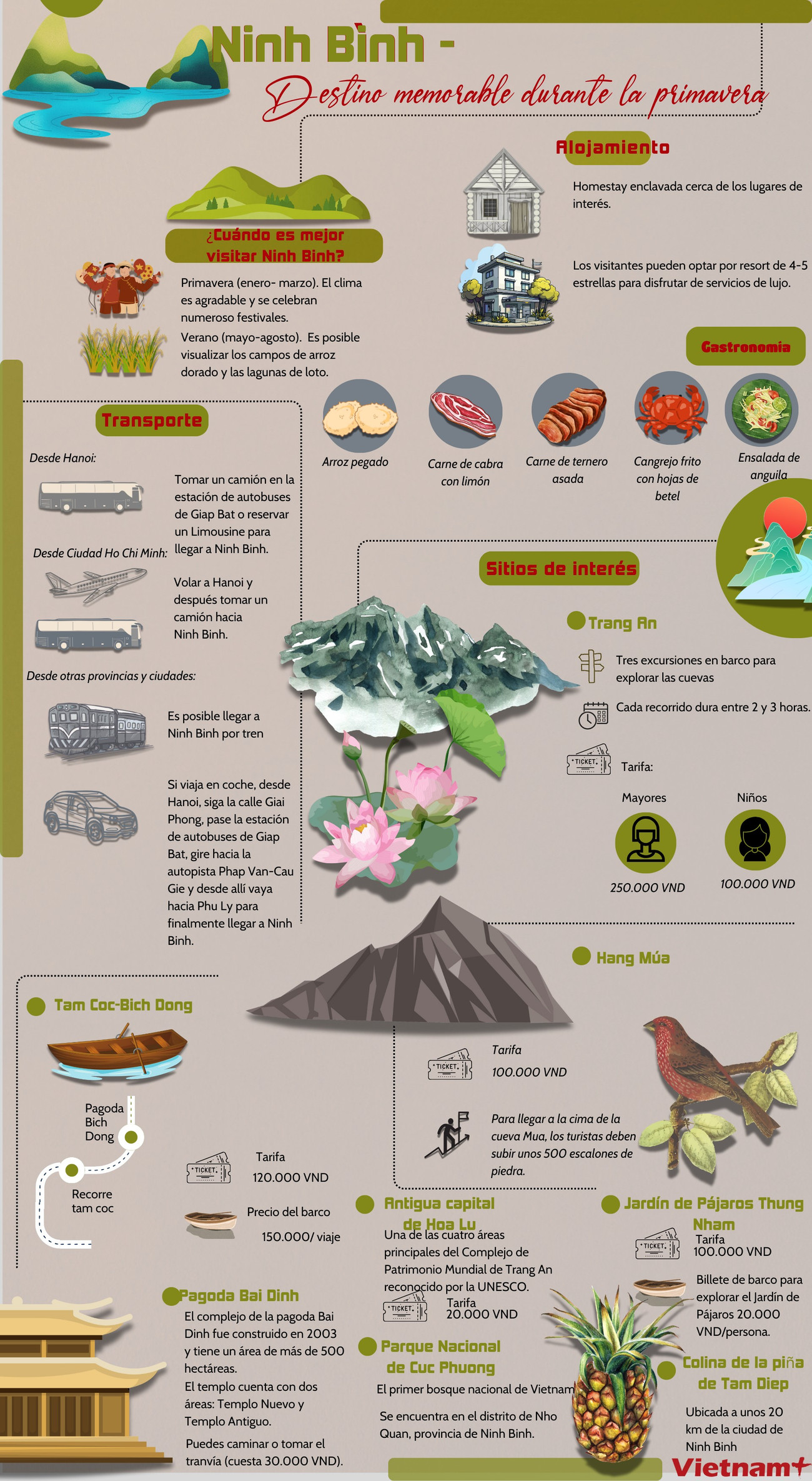 ban-sua-kham-pha-ninh-binh-dia-diem-du-xuan-khong-nen-bo-lo.png