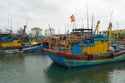 Foto de ilustración. (Fuente: VNA)