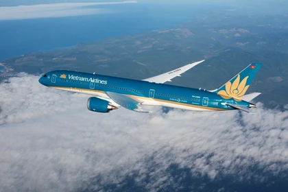 Avión de Vietnam Airlines (Fuente: VNA)