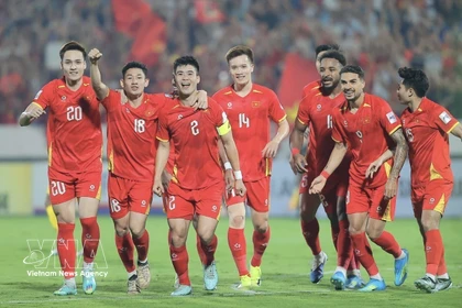 Jugadores vietnamitas en un partido. (Fuente: VNA)