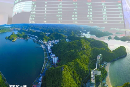 Vietnam necesita 28 mil millones de dólares para la transición verde hasta 2030