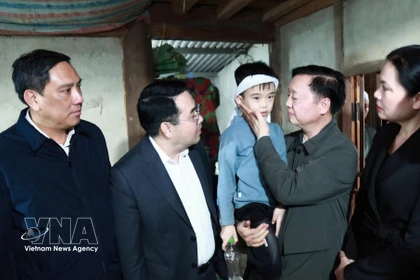 El viceprimer ministro Tran Hong Ha visita a un niño que sobrevivió milagrosamente al naufragio. (Foto: VNA)