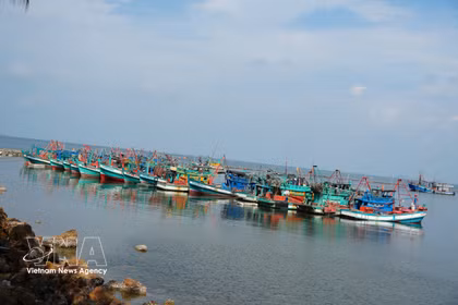 Barcos de pescadores fondeados en las aguas de Ha Tien (An Giang). (Foto: VNA)