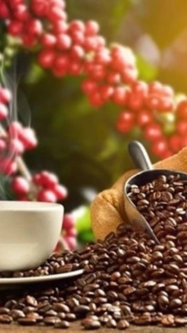 Café de Vietnam: Hacia la creación de un espacio de valor global con sostenibilidad y calidad