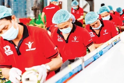 Foto ilustrativa. (Fuente: nhandan.vn)