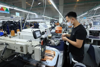 En una empresa en la provincia de Phu Tho. (Fuente: VNA)