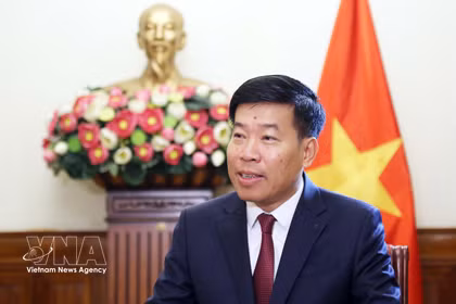 El viceministro de Relaciones Exteriores Nguyen Manh Cuong. (Fuente: VNA)