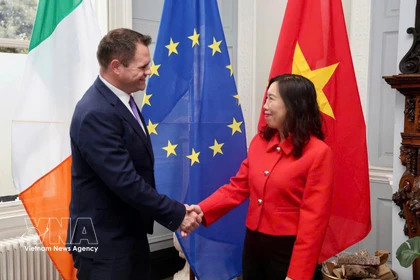La vicecanciller vietnamita Le Thi Thu Hang y el secretario de Estado del Ministerio de Asuntos Exteriores y Comercio de Irlanda, Neale Richmond. (Fuente: VNA)