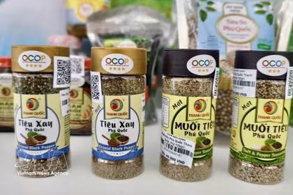 Los productos de pimienta de Phu Quoc han obtenido la calificación de tres estrellas de la OCOP en la provincia de An Giang.