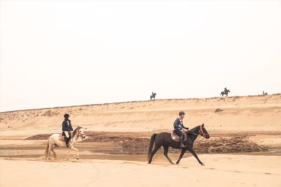 Las personas que montan a caballo deben controlar al equino para que se mueva según la intención del montador (Fuente: VNA)