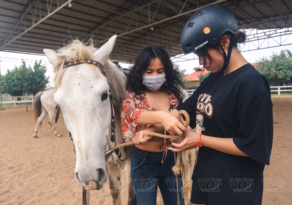 Los nuevos practicantes deben probar a montar los caballos Kabadin, que son fáciles de equilibrar. (Fuente: VNA)
