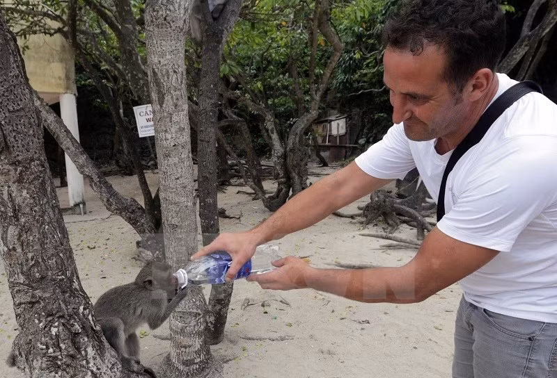 La Reserva Mundial de la Biosfera de Cat Ba se sitúa en el Norte de Vietnam 