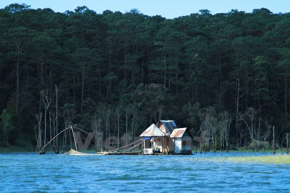 Tuyen Lam es el mayor lago de agua dulce en Da Lat, con 350 hectáreas. 