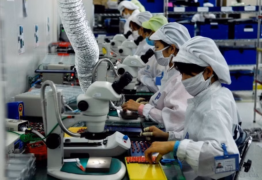 Como gran fuerza laboral social, las mujeres vietnamitas han demostrado claramente su papel, capacidad y creatividad en todas las áreas de la vida social. (Fuente: VNA)