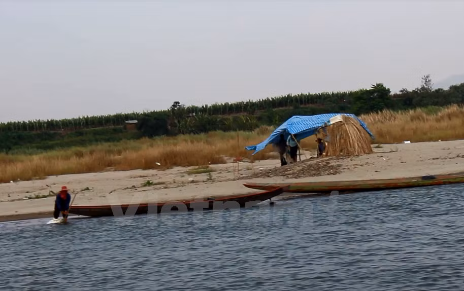 Un pescador tailandés coge pescados en el río. (Foto: VNA)