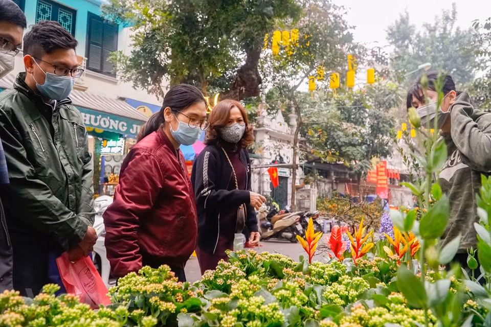 Una característica especial del tradicional mercado de flores Hang Luoc es que solo se reúne una vez al año, a del 15 al 30 del último mes lunar. Cuanto más cerca está el Tet (Año Nuevo Lunar), más concurrida y bulliciosa se torna la feria de flores Hang Luoc en el casco antiguo, creando una atmósfera alegre en los días previos a la mayor celebración de los vietnamitas. No importa cuán ocupada esté la gente de Hanoi, intenta siempre venir al mercado de flores para sentir el espíritu de la primavera, encontrarse y disfrutar de la belleza de las flores. Se trata de uno de los lugares favoritos de los jóvenes en esa época del año (Fuente: Vietnam +)