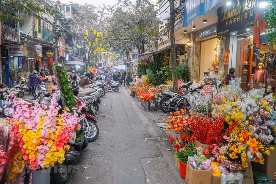Cualquier hanoyense tiene recuerdos de su infancia en el mercado de flores Hang Luoc, ubicado en el casco antiguo de la capital, pues de pequeño solía acompañar a sus abuelos o sus padres a este sitio. El mercado de flores tiene lugar durante siete días a partir del día 23 del último mes del calendario lunar, y constituye una de las actividades culturales más importantes en Hanoi en ocasión del Tet (Año Nuevo Lunar). Los niños vienen a la feria para ver y jugar, mientras los adultos compran ramas de melocotón, árboles de kumquat, ramos de flores frescas. Todos quieren disfrutar del ambiente abarrotado y alegre en los días previos al Tet (Fuente: Vietnam +)