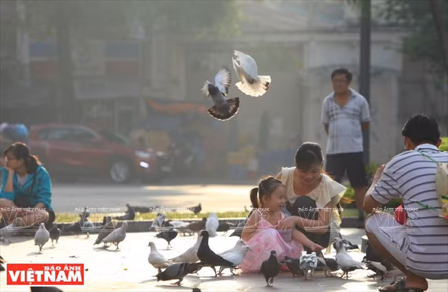 La Catedral se ubica en la Plaza de la Comuna de París, donde la gente puede alimentar y divertirse con las palomas.
