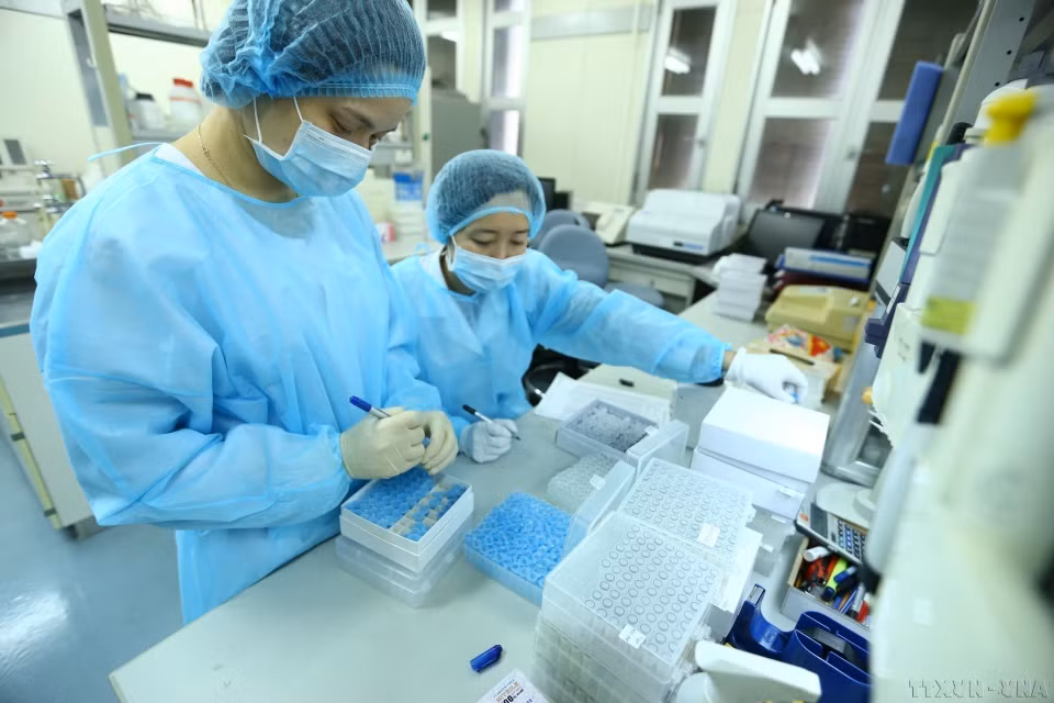 Un grupo de científicas del Instituto Nacional de Higiene y Epidemiología ha aislado con éxito la nueva cepa del virus corona (SARS-CoV-2), convirtiendo a Vietnam en uno de los primeros cuatro países que cumplen con éxito esa tarea.