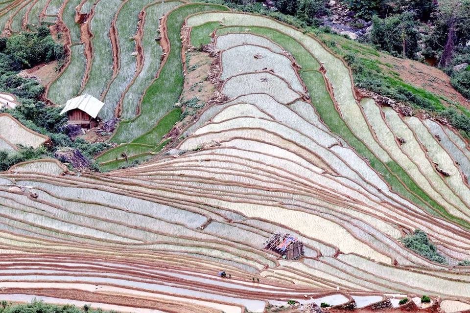 Terrazas arrozales en la comuna de Chieng Muon, en la provincia septentrional de Son La. (Foto: VNA)