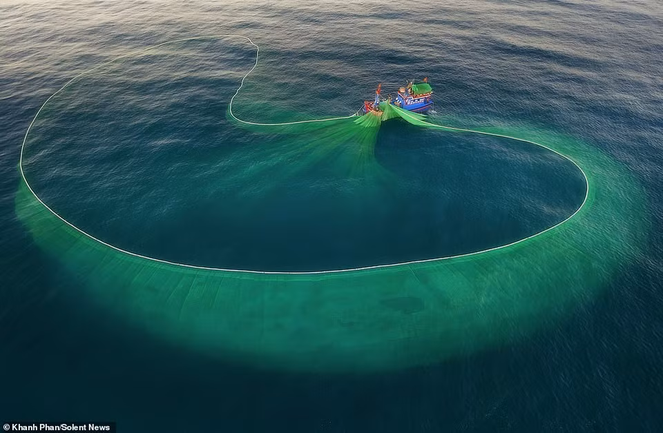 Las redes de pesca irradian hermosas y fascinantes formas antes de ser arrastradas de regreso al bote. (Foto: DailyMail)