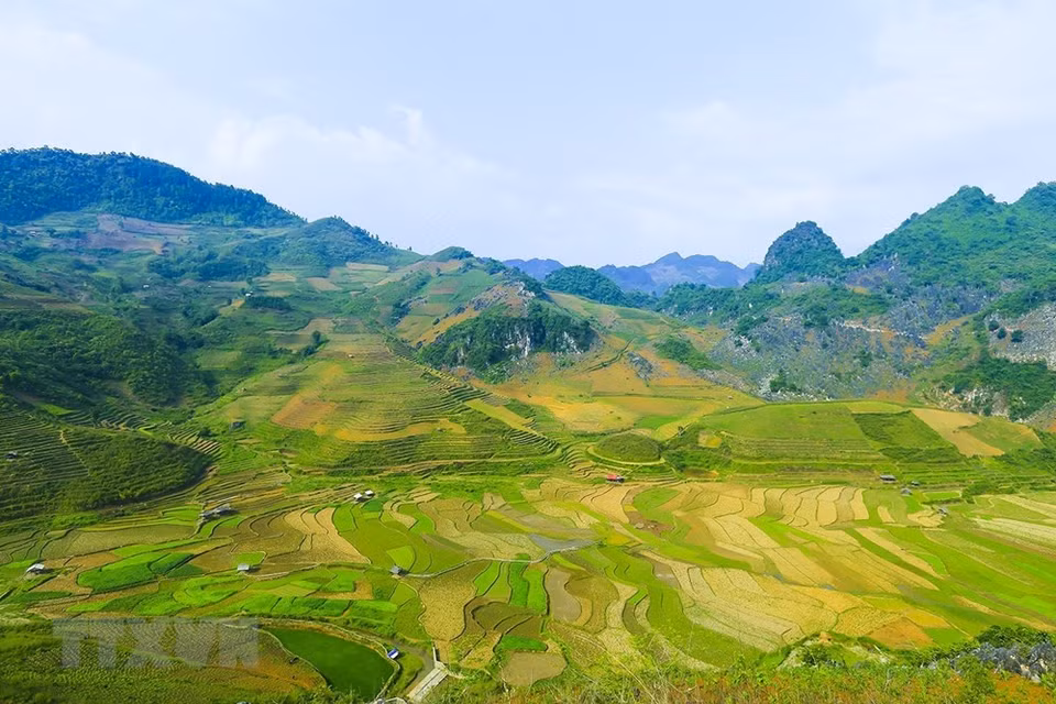 Terrazas de arroz se extendían por las montañas (Foto: VNA)