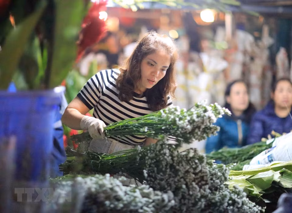 Noche en el mercado de flores Quang Ba en vísperas del Nuevo Año Lunar (Foto: VNA)