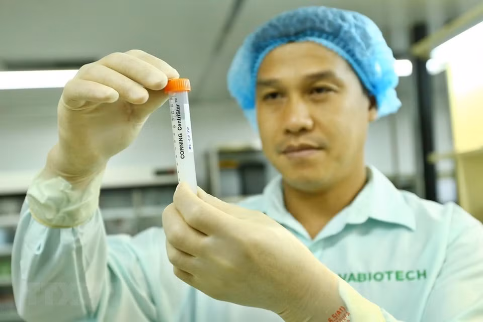 Producto semiacabado de una vacuna después del proceso de investigación y preparación antes de ser probado en animales. (Foto: VNA)