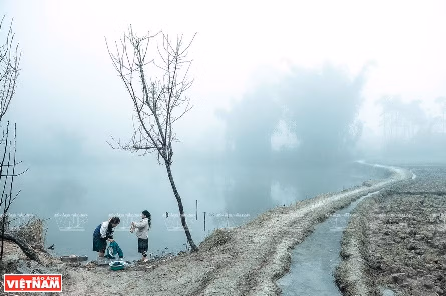 “Bình yên Phố Cáo” (Paz en Pho Cao) - Autor: Doan Thi Tho (Fuente: VNP)
