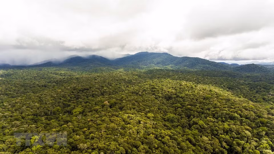 Gracias a los movimientos tectónicos de la corteza terrestre hace más de 140 millones de años, esa región emergió del océano, al tiempo que aparecieron numerosos volcanes. (Foto: VNA)