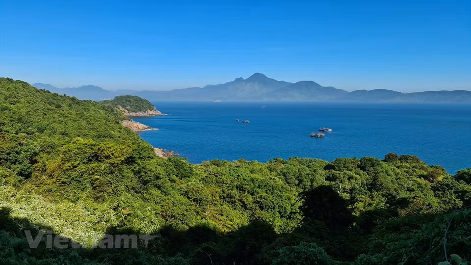 El bosque proporciona el suministro de alimentos más abundante para los langures de douc entre abril y junio (Foto: VietnamPlus)